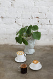 Long Coffee Glasses 250ml - DLSC320